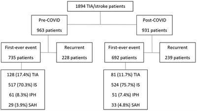 Stroke profile and care during the COVID-19 pandemic: What changed and what did not? A prospective cohort from Joinville, Brazil